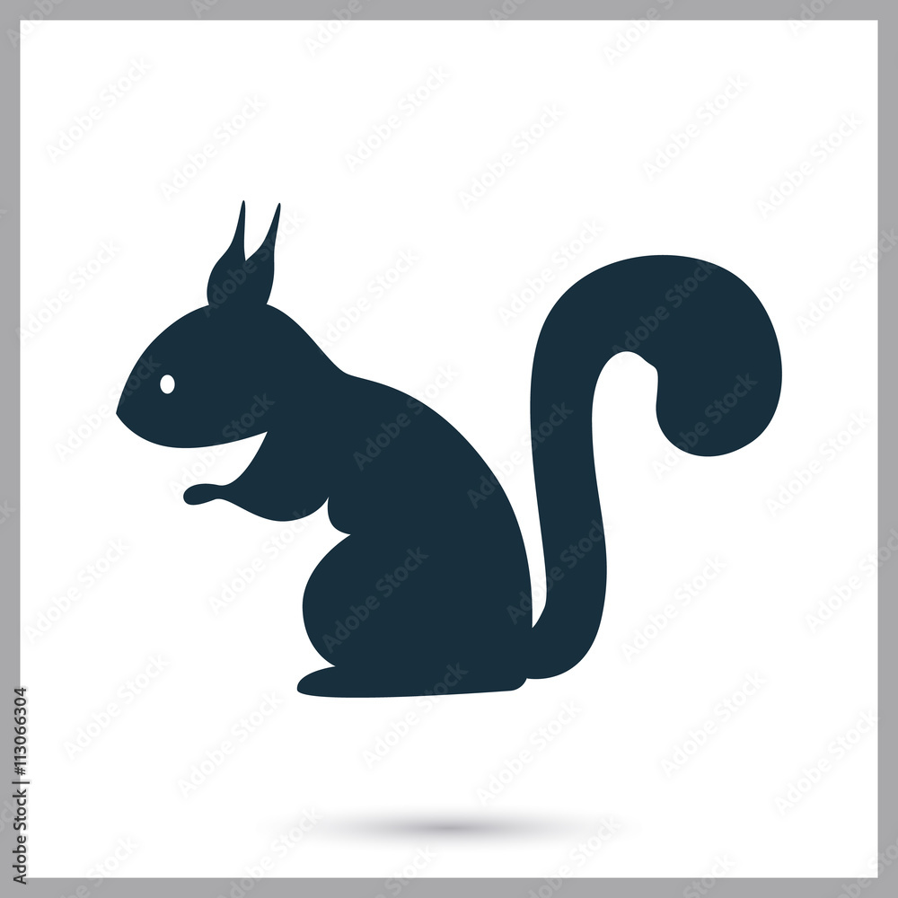 Squirrel icon on the background