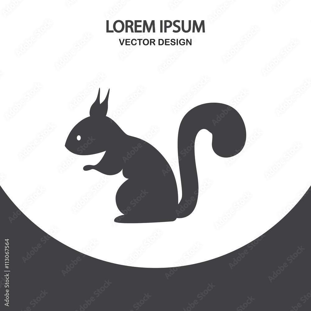 Squirrel icon on the background Squirrel icon on the background
