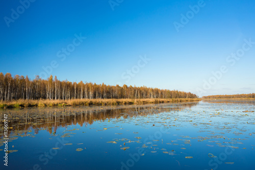 Beautiful Birch Forest And Lake, Pond, River In Autumn Season. S © Grigory Bruev