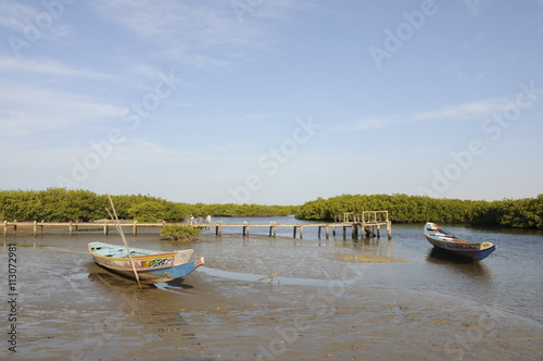 Pirogue (fishing boat) on the mangrove backwaters of the Sine Saloum Delta, Senegal, West Africa photo