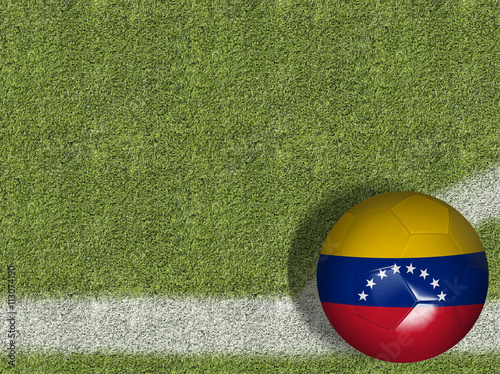 Venezuelan Ball in a Soccer Field