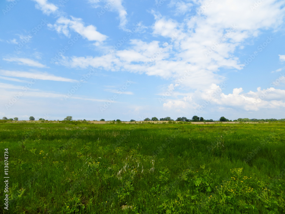 Wide green meadow Wide green meadow