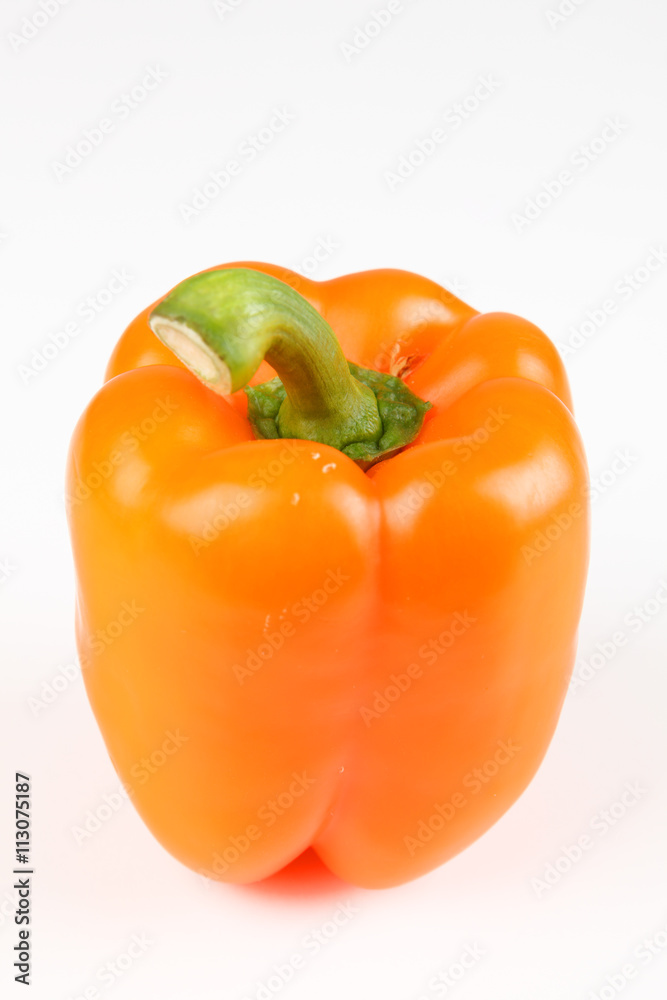 Paprika Paprika