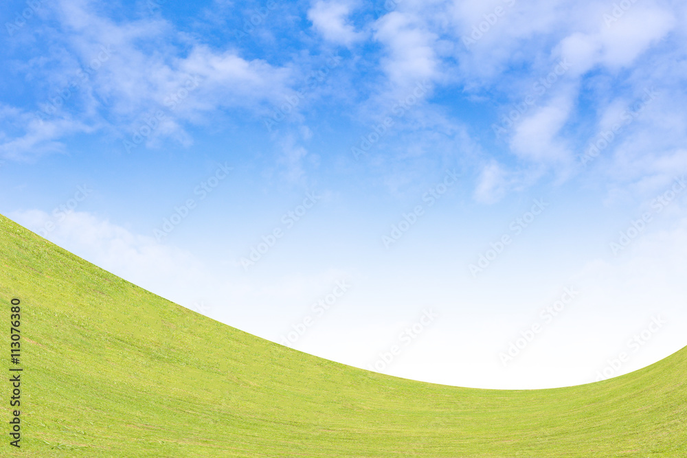 Fototapeta premium Background green grass and blue sky