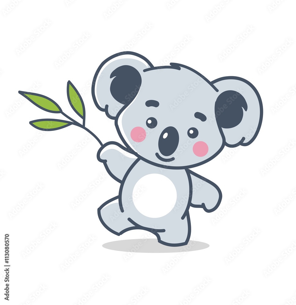 funny koala on white funny koala on white