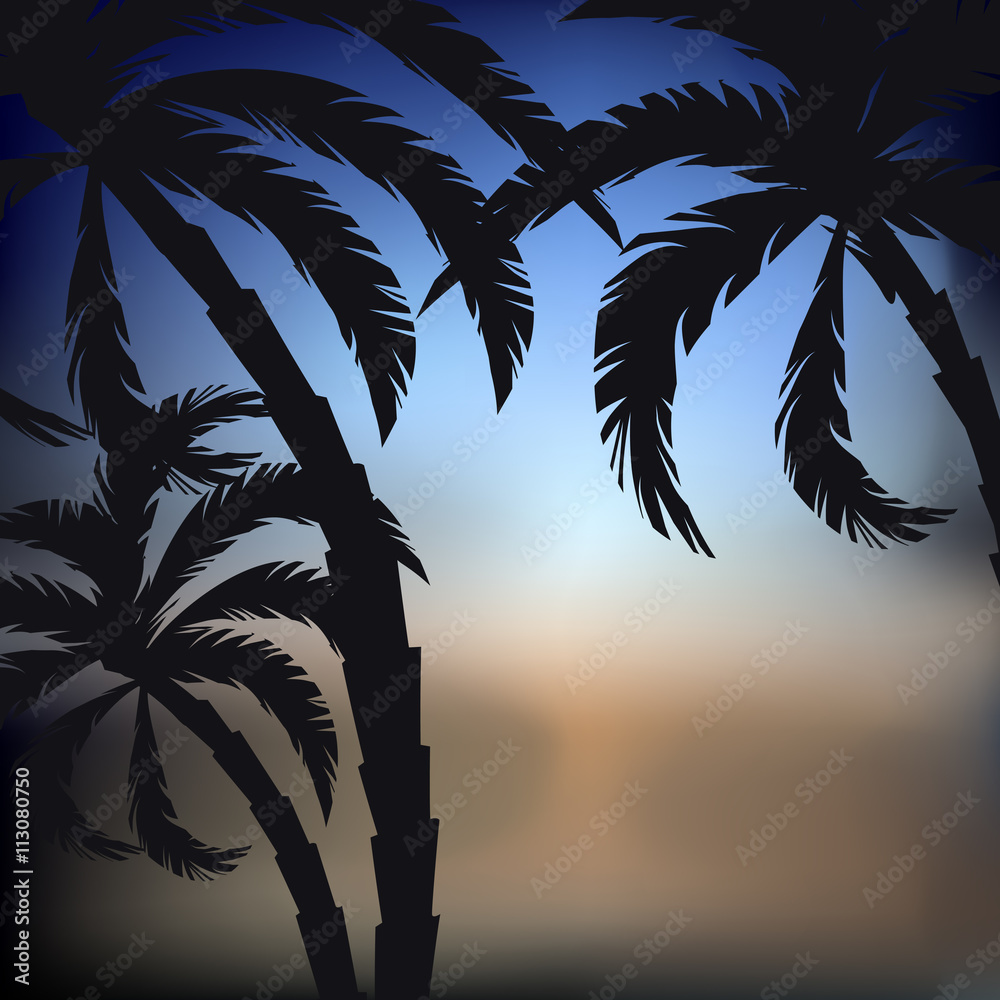 palms sunset background