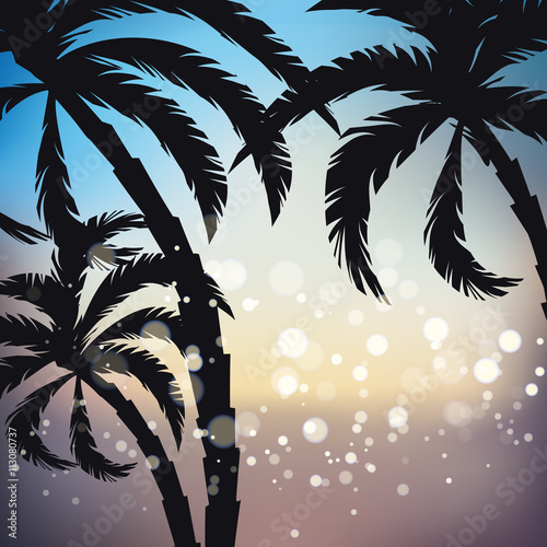 palms sunset background