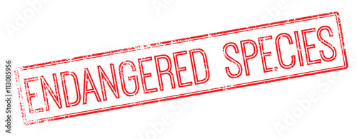 Endangered species red rubber stamp on white