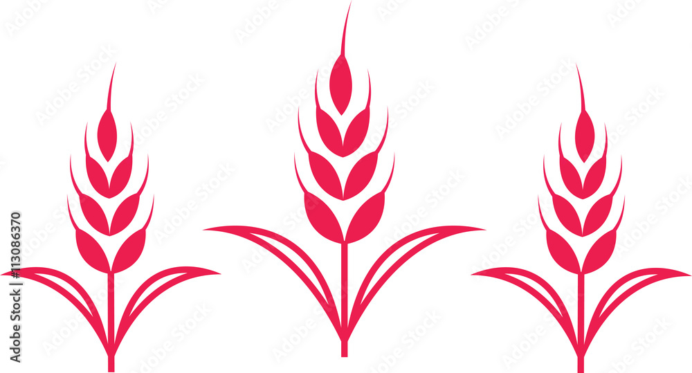 Symbolic wheat ears vector illustration.