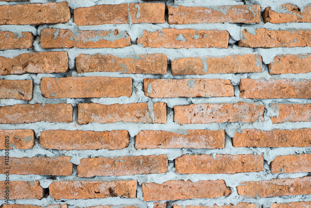Obraz premium The brick wall