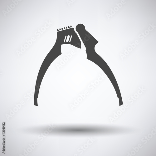 Garlic press icon