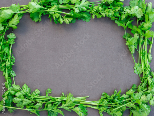 Fresh parsley on dark background. Frame