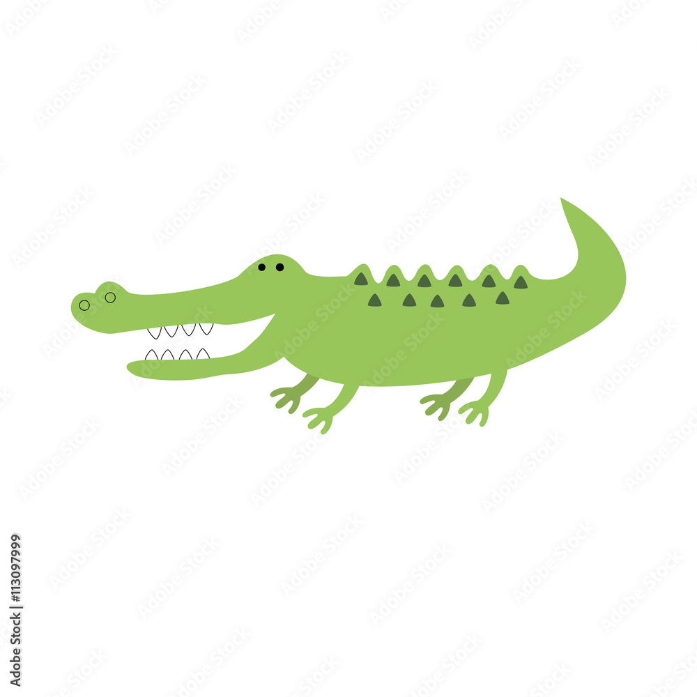 Obraz premium Crocodile