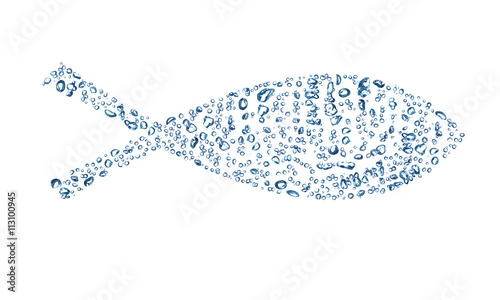 fish is consisted of bubbles