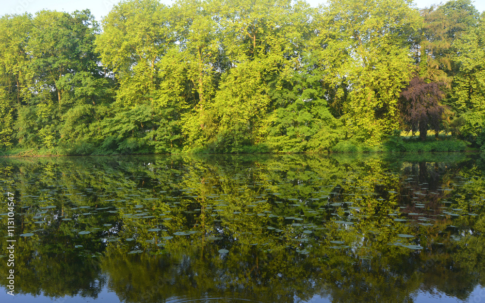 Reflets Reflets