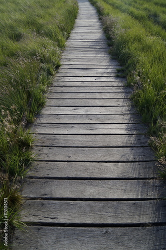 Holzbohlenweg im Moor 