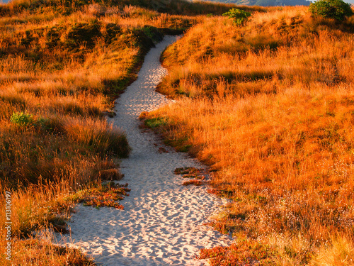 Early morning light and shade on path through sand dunes at beach