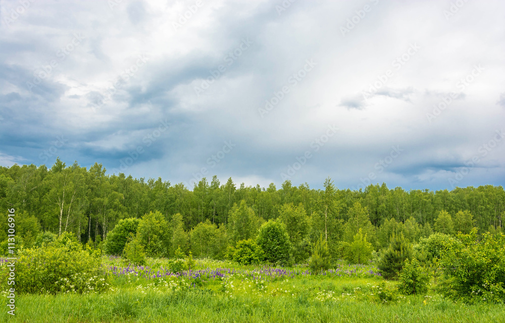Summer landscape on a cloudy day. Summer landscape on a cloudy day.