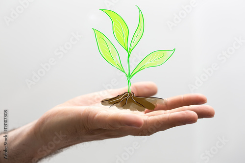 plant