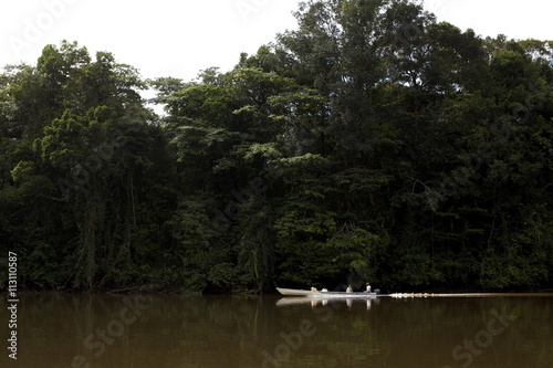 A pirogue on the Approuague River, French Guiana