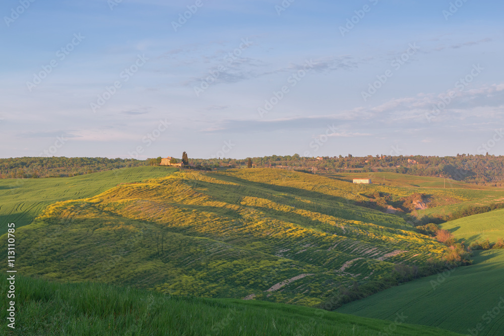 Obraz premium Typical Tuscany landscape springtime