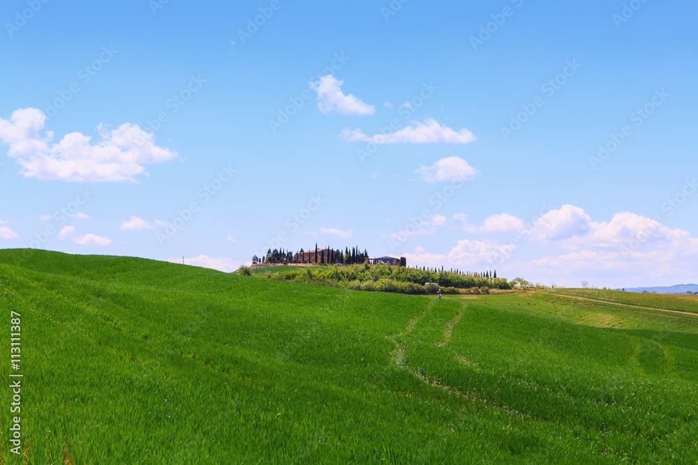 Typical Tuscany landscape springtime at sunrise Typical Tuscany landscape springtime at sunrise