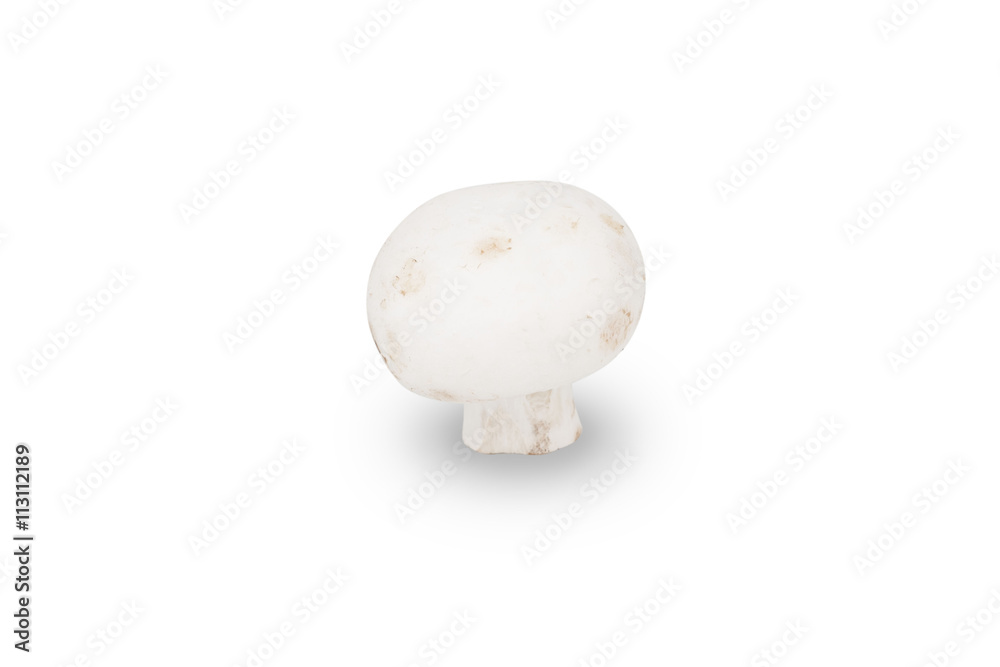 Mushroom isolated on white background Mushroom isolated on white background