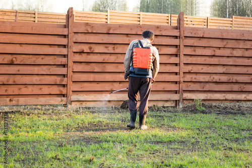 man sprays grass with herbicide of a knapsack sprayer photo