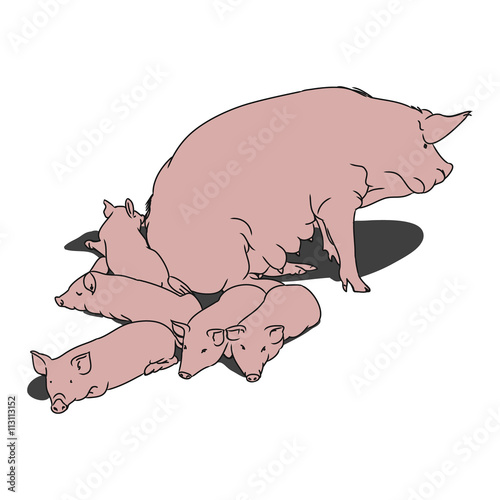 Pig and piglets (pink)