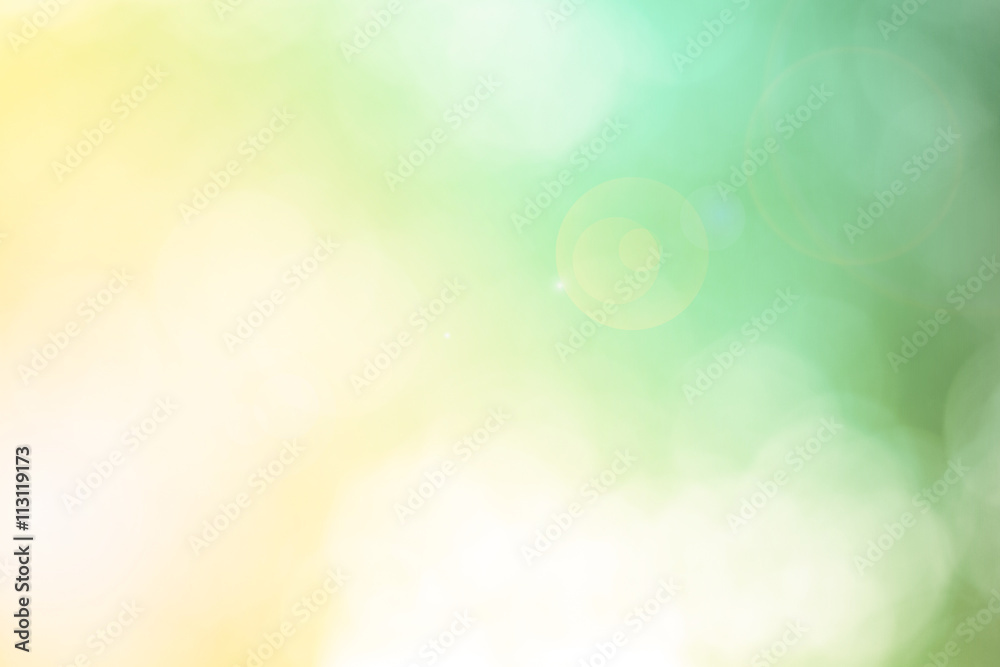 Blur Leaf bokeh background Blur Leaf bokeh background