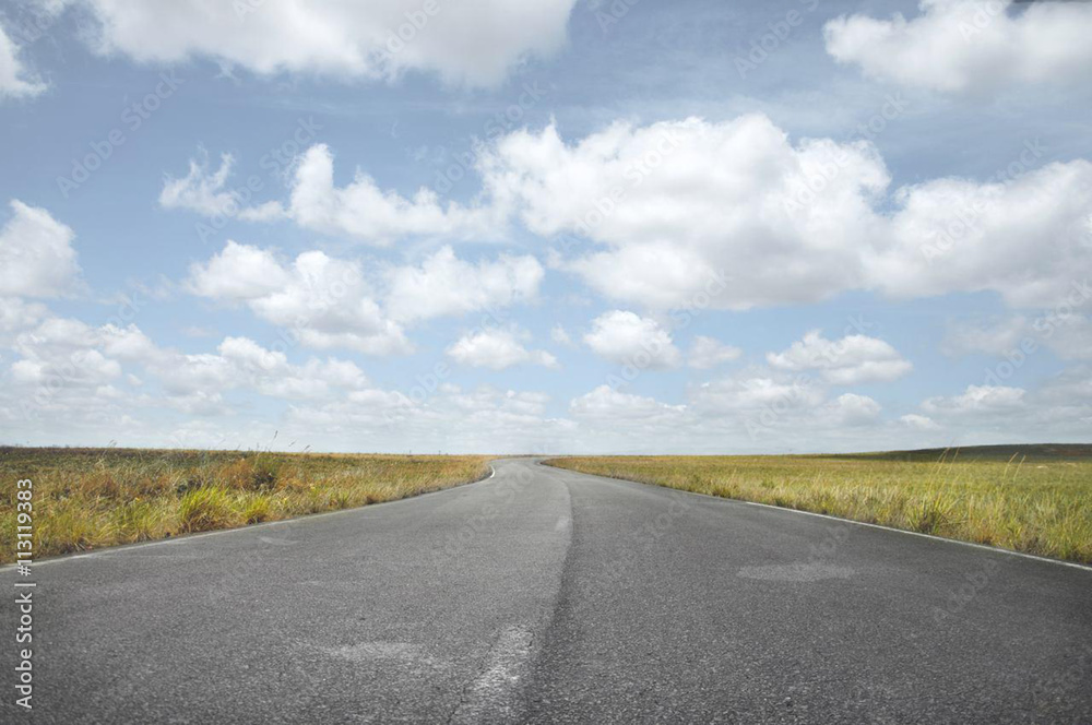 asphalt road through the green field and clouds on blue sky in summer day