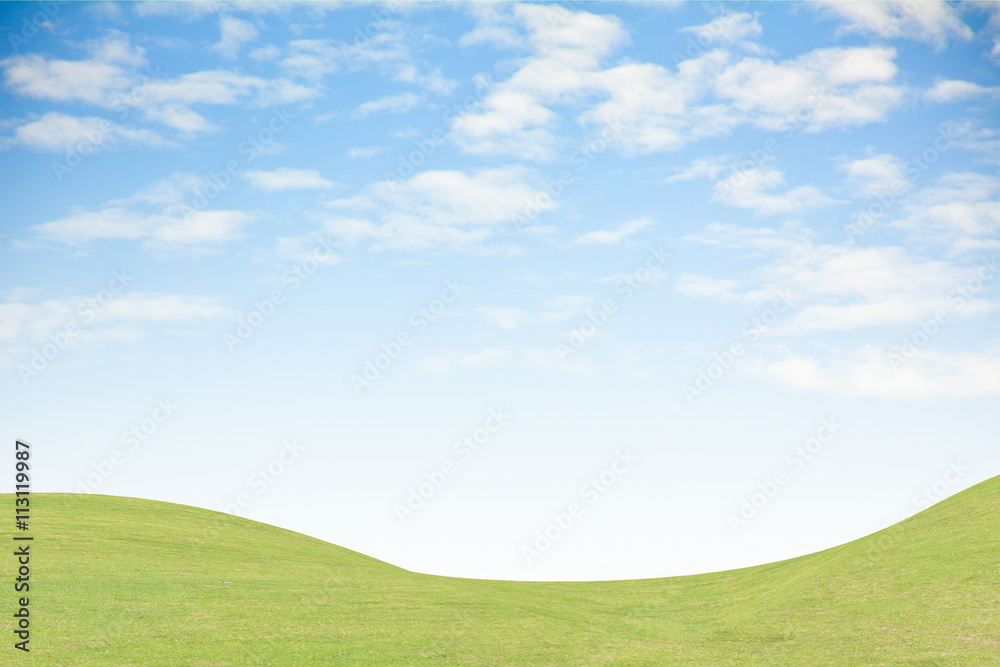 Background green grass and blue sky Background green grass and blue sky