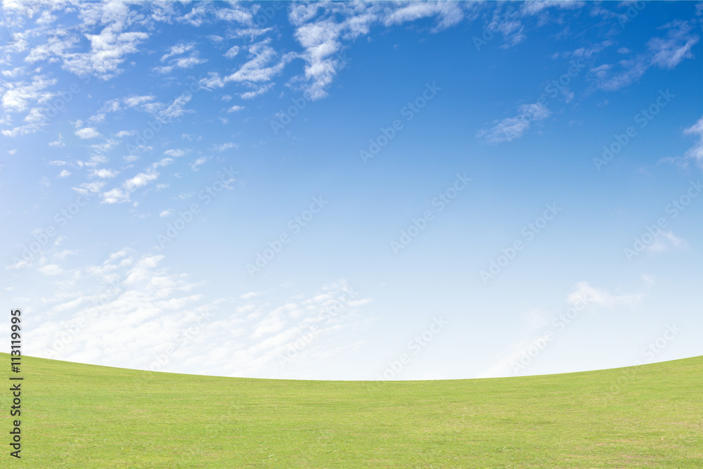 Fototapeta premium Background green grass and blue sky