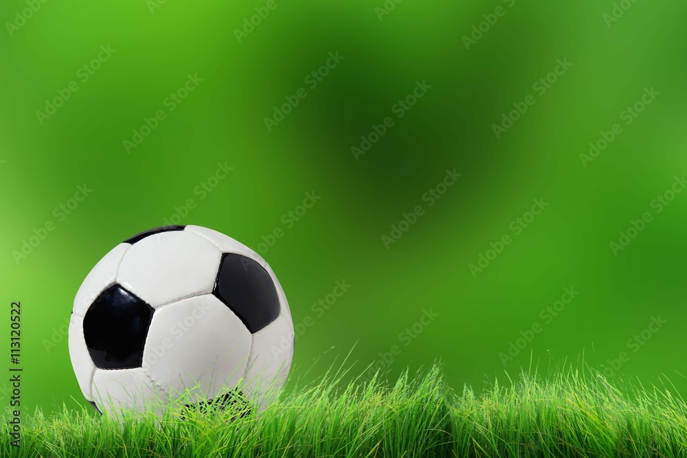 Fototapeta premium Isolated ball on green