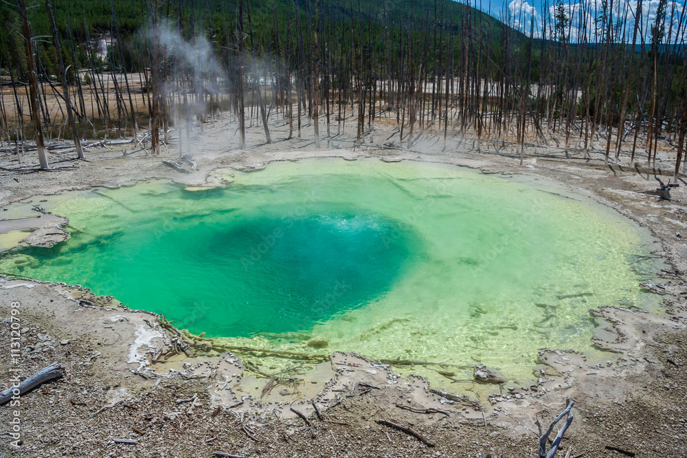 Green Cistern Spring In The Norris Geyser Basin at Yellowstone National Park, Wyoming,  USA