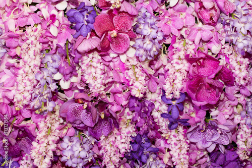 Fototapeta Naklejka Na Ścianę i Meble -  pink  orchid background