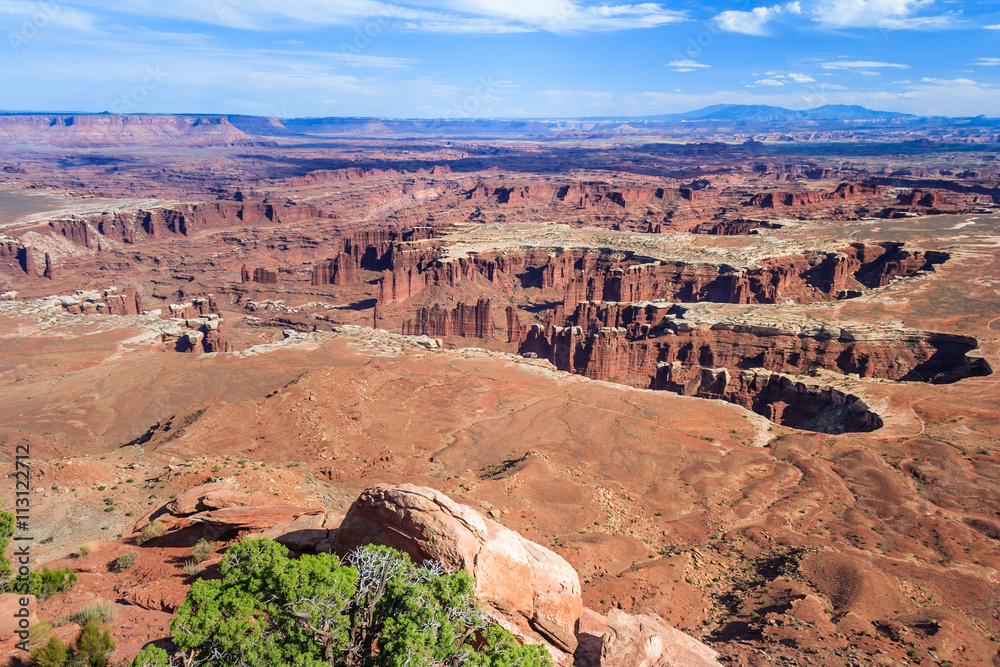 View of Colorado River and Canyonlands National Park from Dead Horse Point Overlook, Utah,  USA