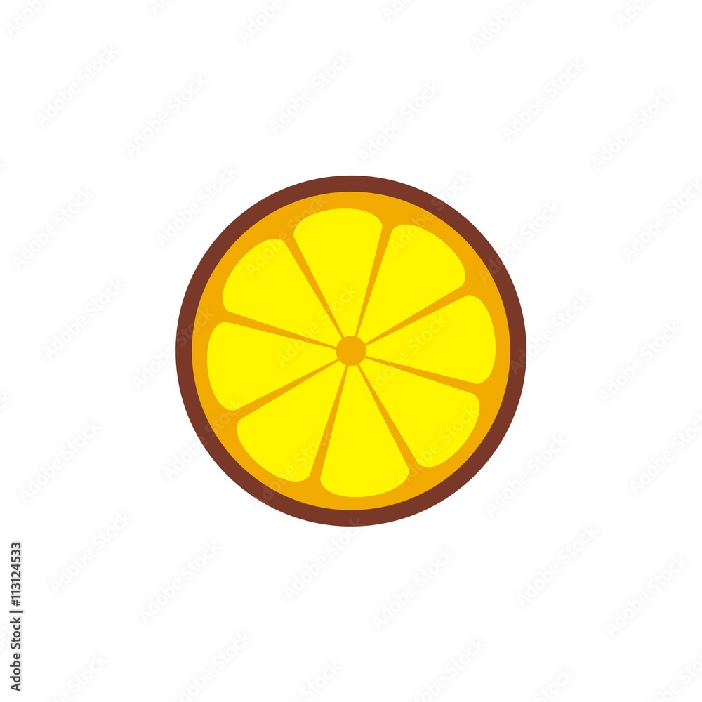 Orange slices vector Orange slices vector