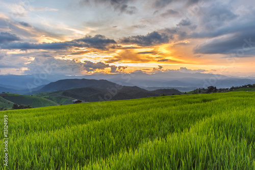Green Terraced Rice Field in Pa Pong Pieng , Mae Chaem, Chiang Mai, Thailand © Southtownboy Studio