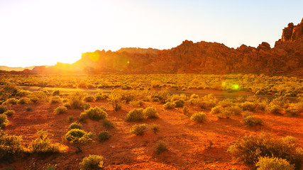 Crédence de cuisine Rouge Desert over sunset in Valley of Fire State Park, Southern Nevada, USA  © photobyevgeniya