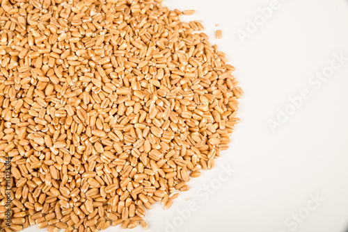 Spelt grain