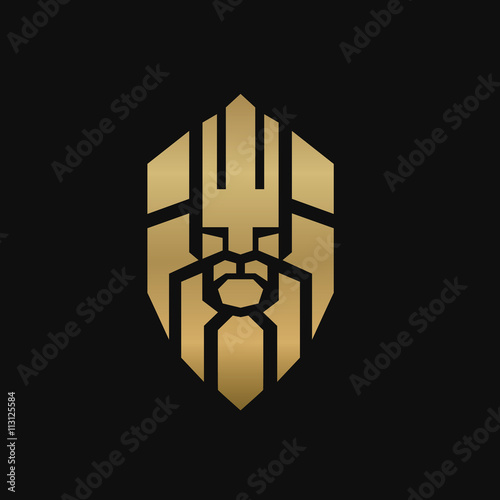 Fototapeta Naklejka Na Ścianę i Meble -  Lion logo, real estate logo.