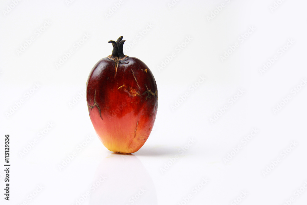 Palm oil with white background