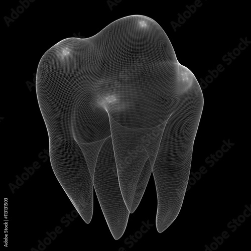 image of the human tooth