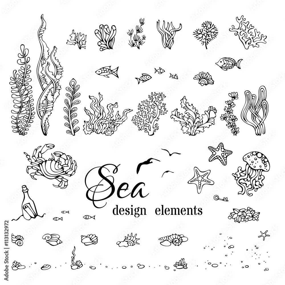 Fototapeta premium Vector set of underwater marine design elements.