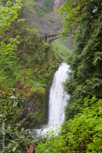 Multnomah Falls, Oregon,  USA © amadeustx