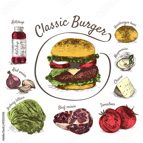 Vector colorful illustration of classic burger ingredients