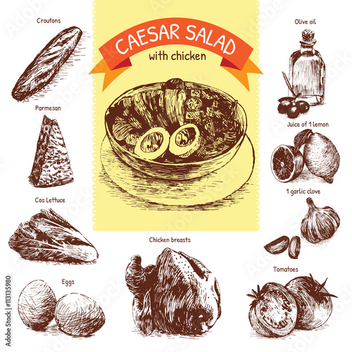 Vector colorful illustration of Caesar salad ingredients