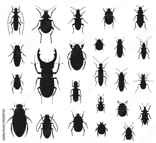 Silhouette insect set isolated on the white. Vector illustration.