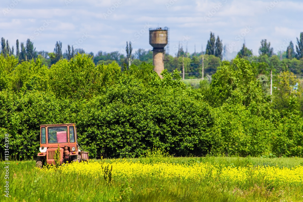 Fototapeta premium old tractor on a meadow, rural landscape